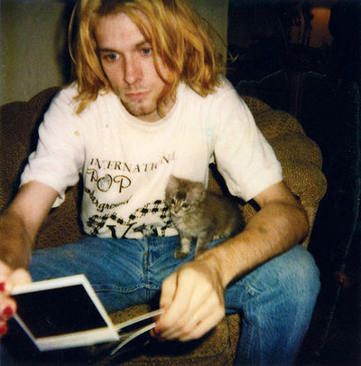 cobain_kitteh.jpg