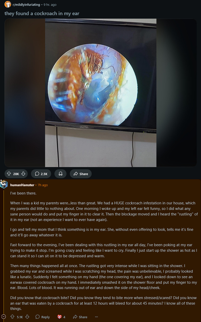 cockroach.jpg