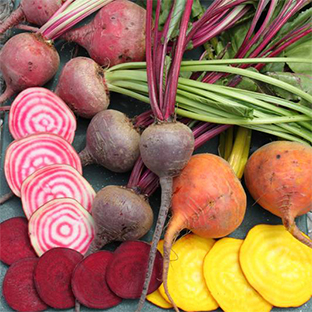 colorful-beet-mix-sliced-image.jpg