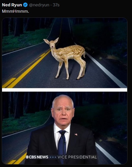 deerintheheadlights.jpg