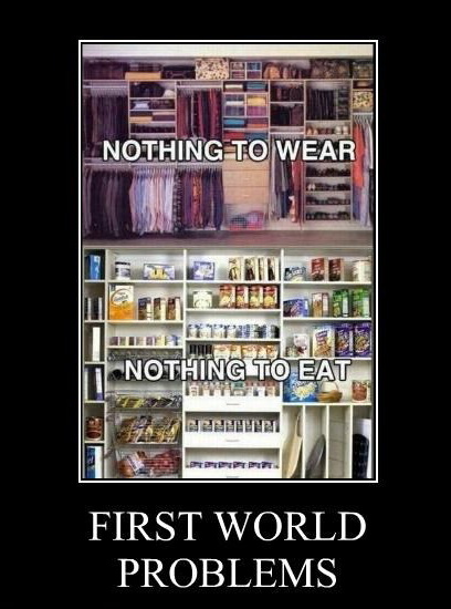 demotivational-posters-first-world-problems1.jpg