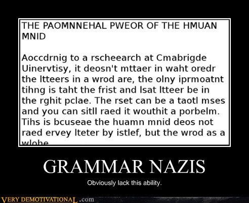 demotivational-posters-grammar-nazis.jpg