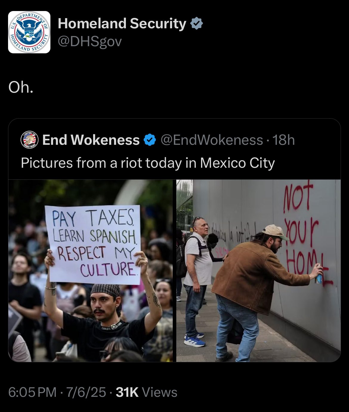 dhsmexicoriot.jpg