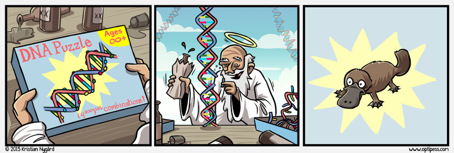 dnk.jpg