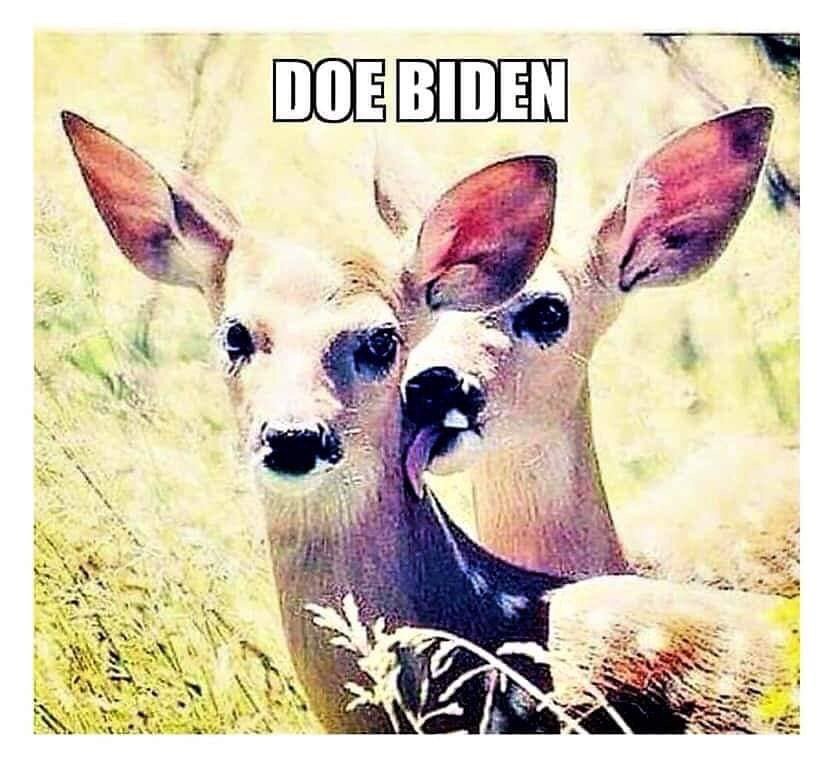 doebiden