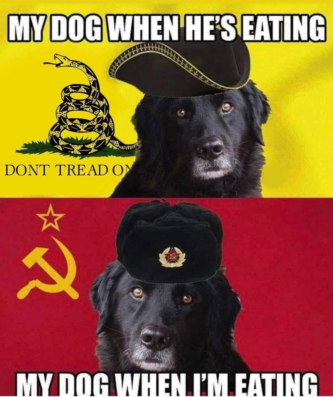 dogcommunism.jfif