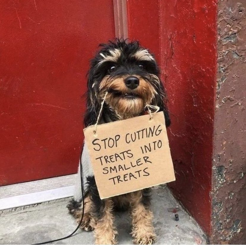 dogprotesttreatequity.jpg