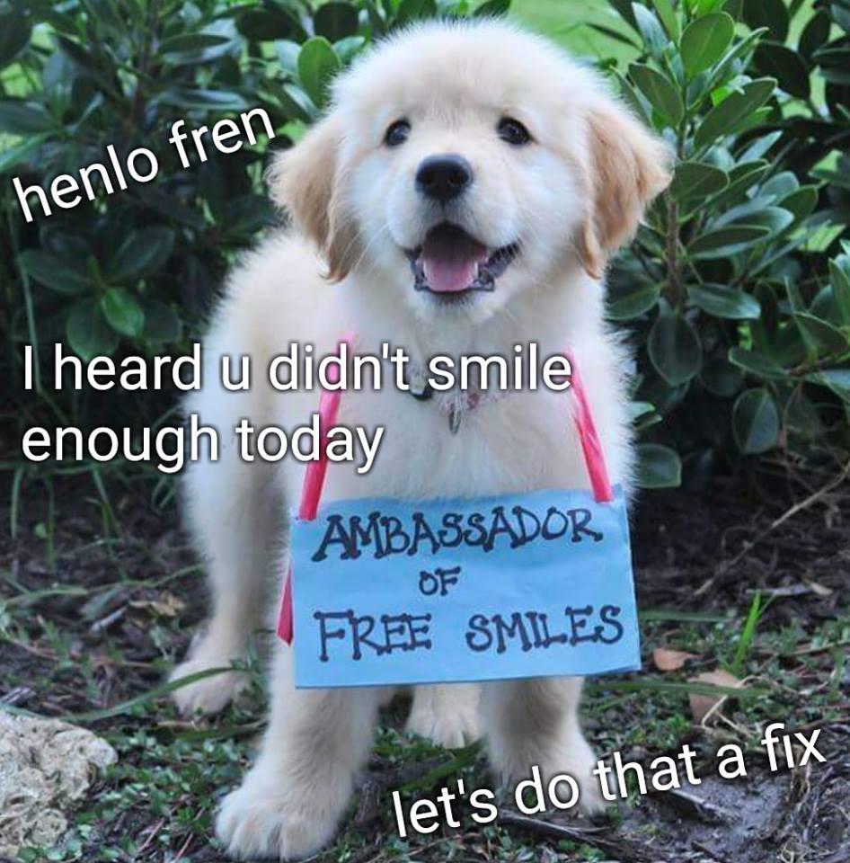 dogsmileambassador.jpg