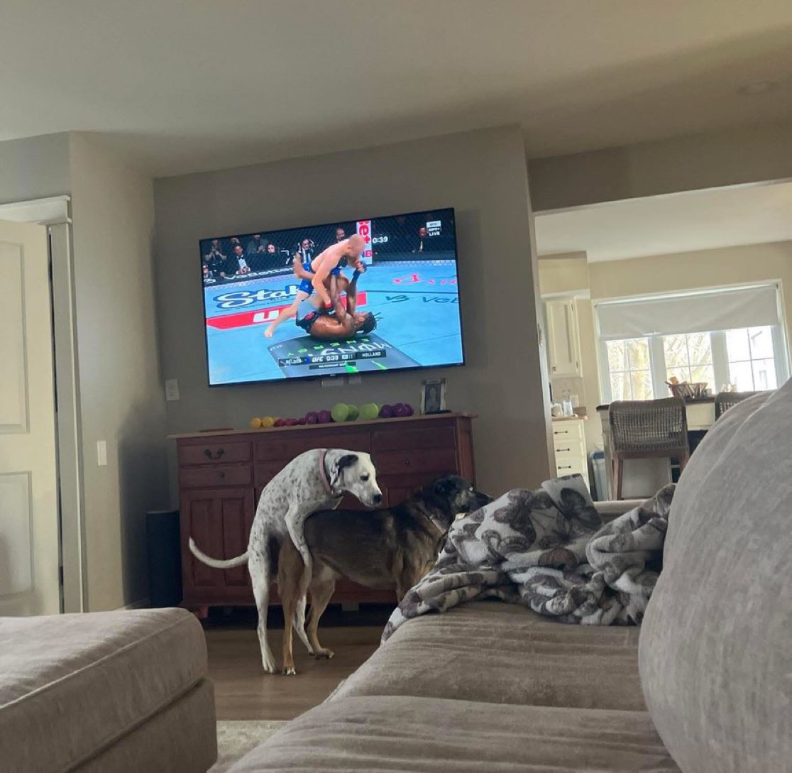 dogworkingonhistakedowns.jpg