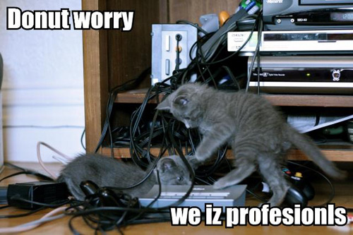 donut-worry-we-iz-profesion.jpg