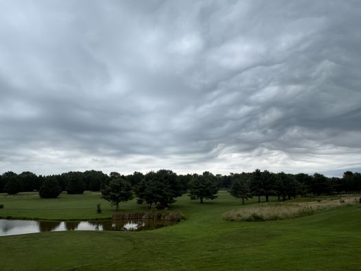 doof-F-Bay-Aug2026.jpg