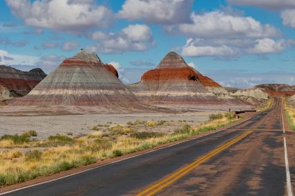 doof-PETRIFIEDFORESTNP.jpg
