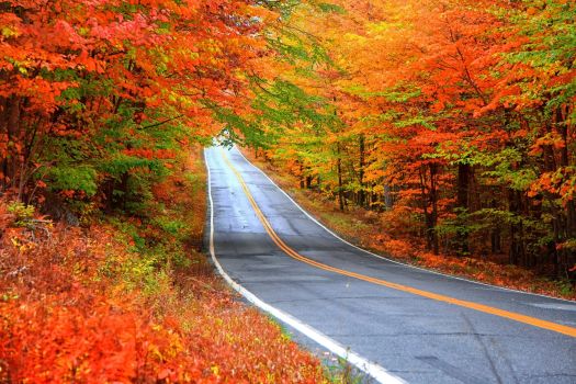 doof-Scenic_Autumn_Drive.jpg