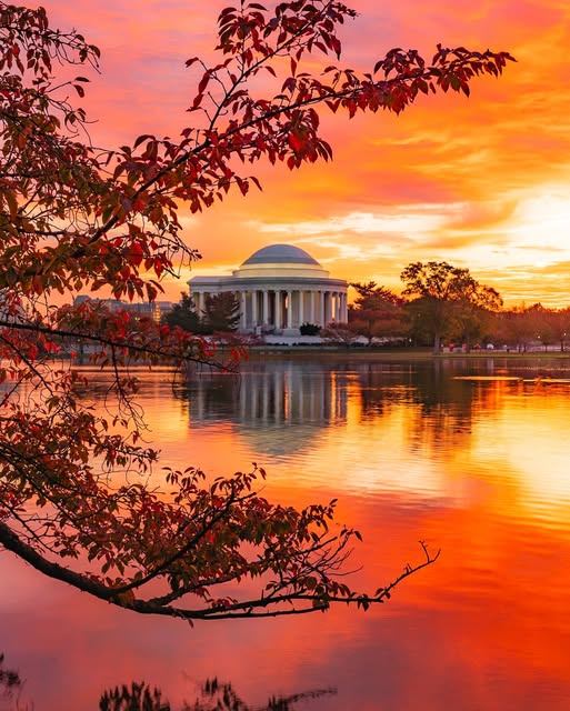 doof-autumn-in-DC-2025.jpg
