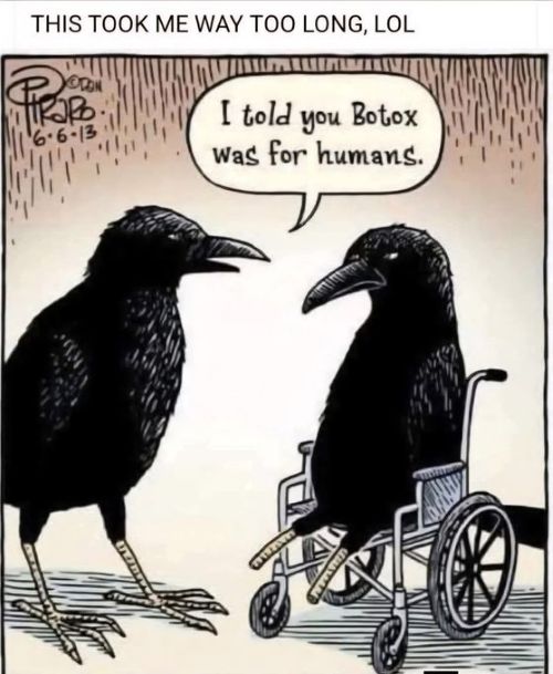 doof-botox-crow.jpg