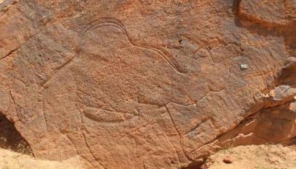 doof-camel-carve.jpg