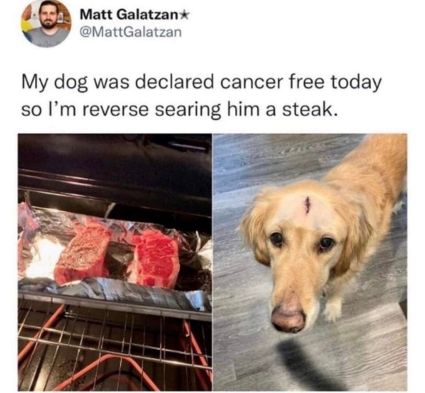 doof-dog-steak.jpg