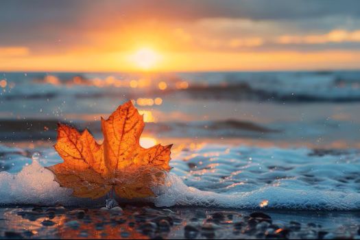 doof-fall-beach-with-leaves.jpg