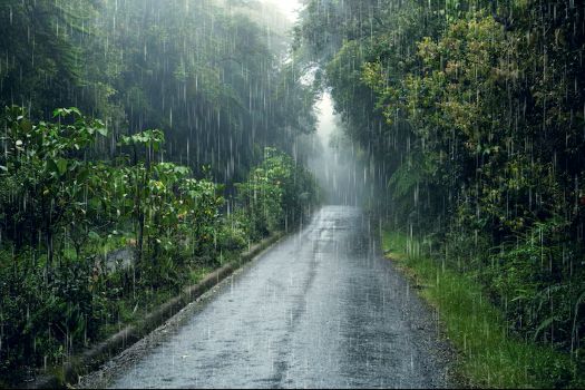 doof-rain-summer.jpg