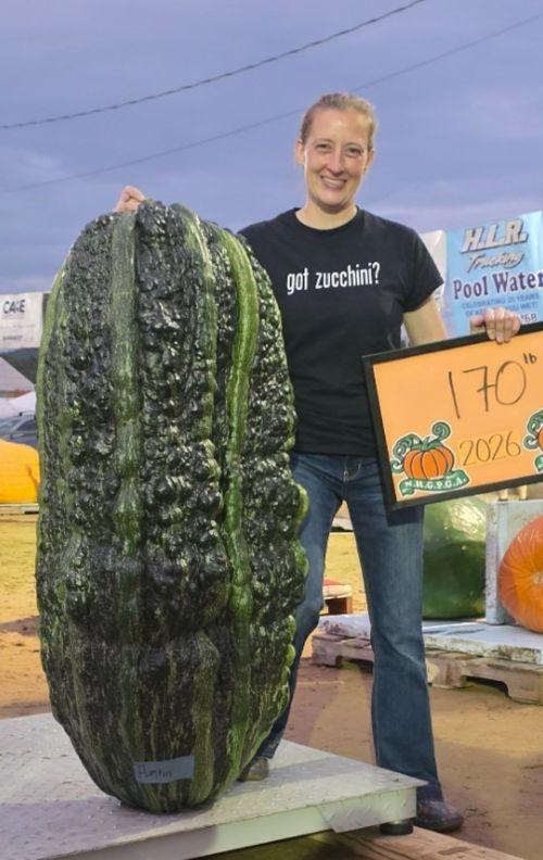 doof-record-zucchini.jpg