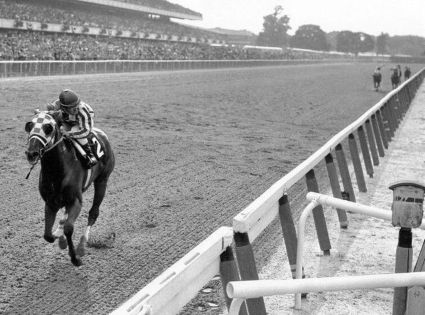 doof-secretariat-1973.jpg