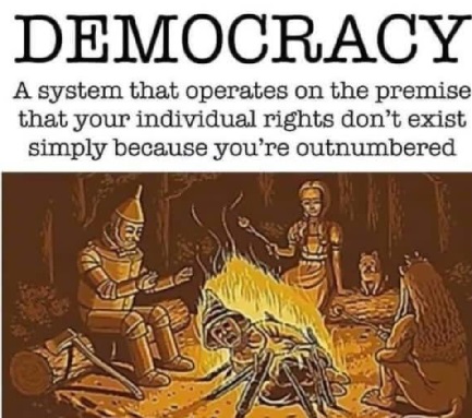 dumbocracy.jpg