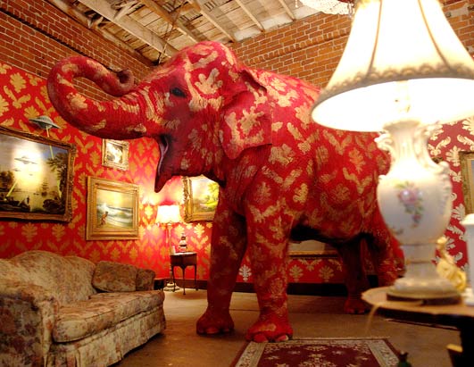 elephantintheroom3.jpg