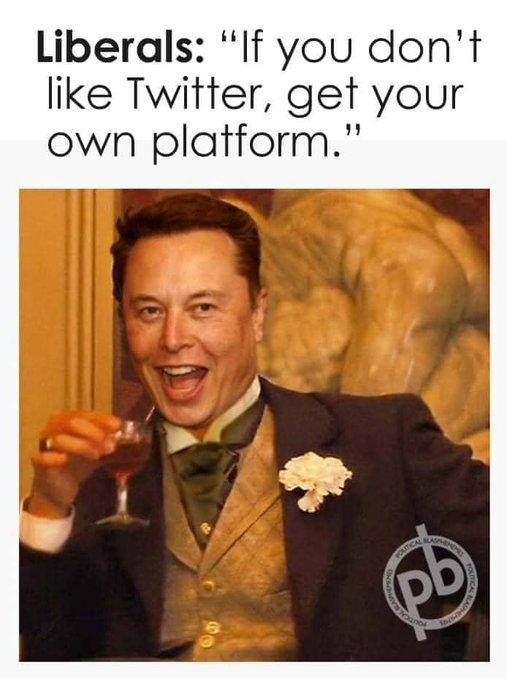 elonmuskgetyourownplatform.jpg