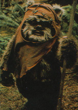 ewok2.jpg