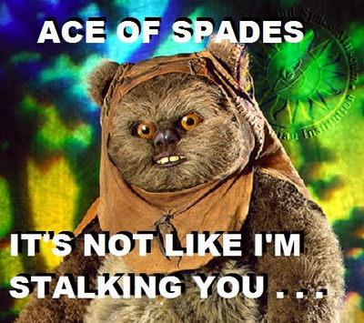 ewokACE.jpg