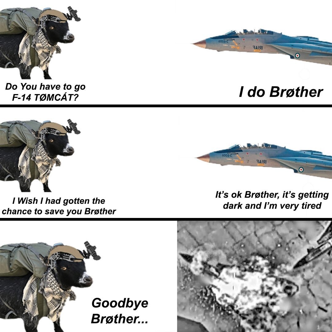 f-14.jpg