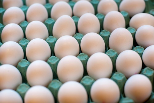 farm_eggs.jpg