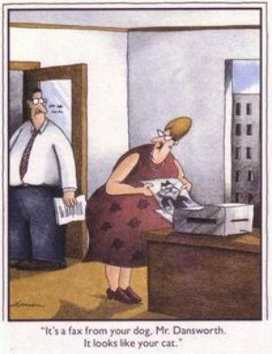 farside.jpg