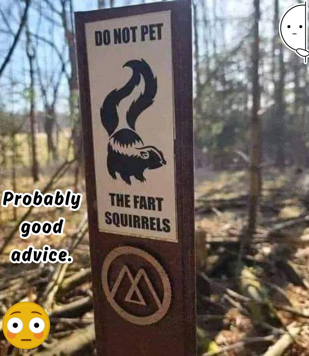 fartsquirrels.jpg