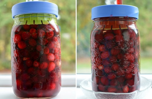 fermented-cranberries.jpg