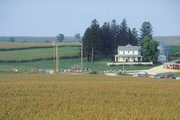 fieldofdreams1_300.jpg