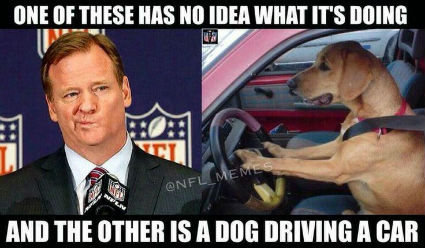 fire-roger-goodell-meme.jpg