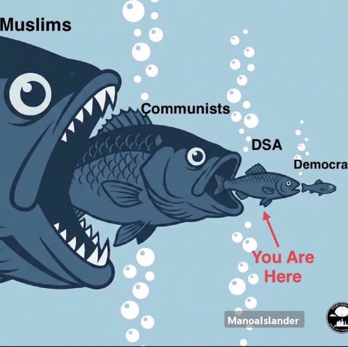 fish.jfif