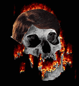 flaming_skullblago.gif