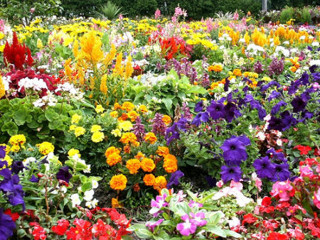 flower-garden-pretty.jpg