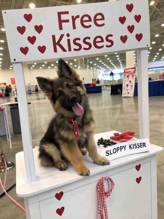 freekisses.jpg