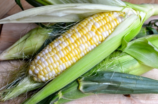 freshcorn26.jpg