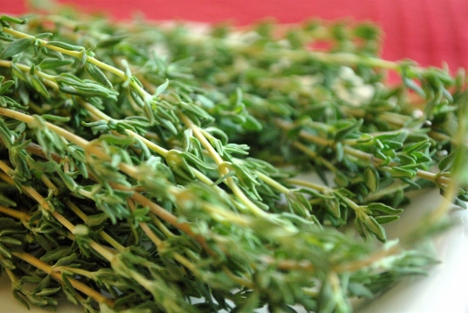 freshthyme26.jpg