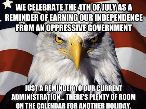 funny-American-Eagle-patriotic-4-July.jpg