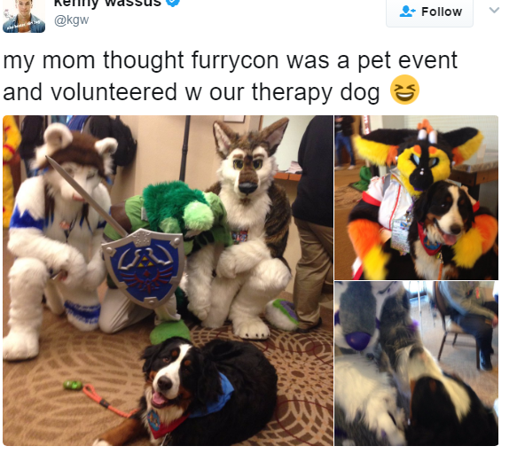 furrycon.png