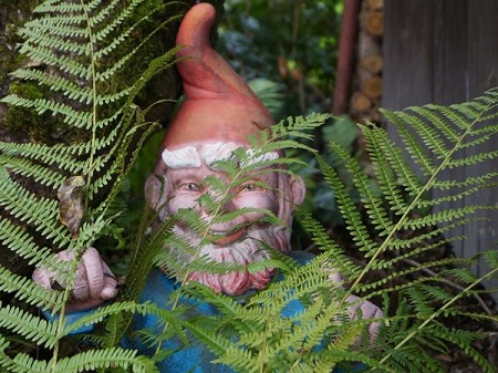 garden-gnome.jpg