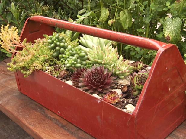 gby1905_1a-succulent-toolbox_s4x3_lg.jpg