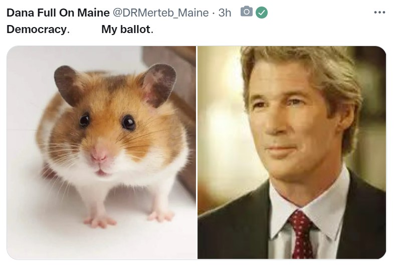 gerehamster.jpg