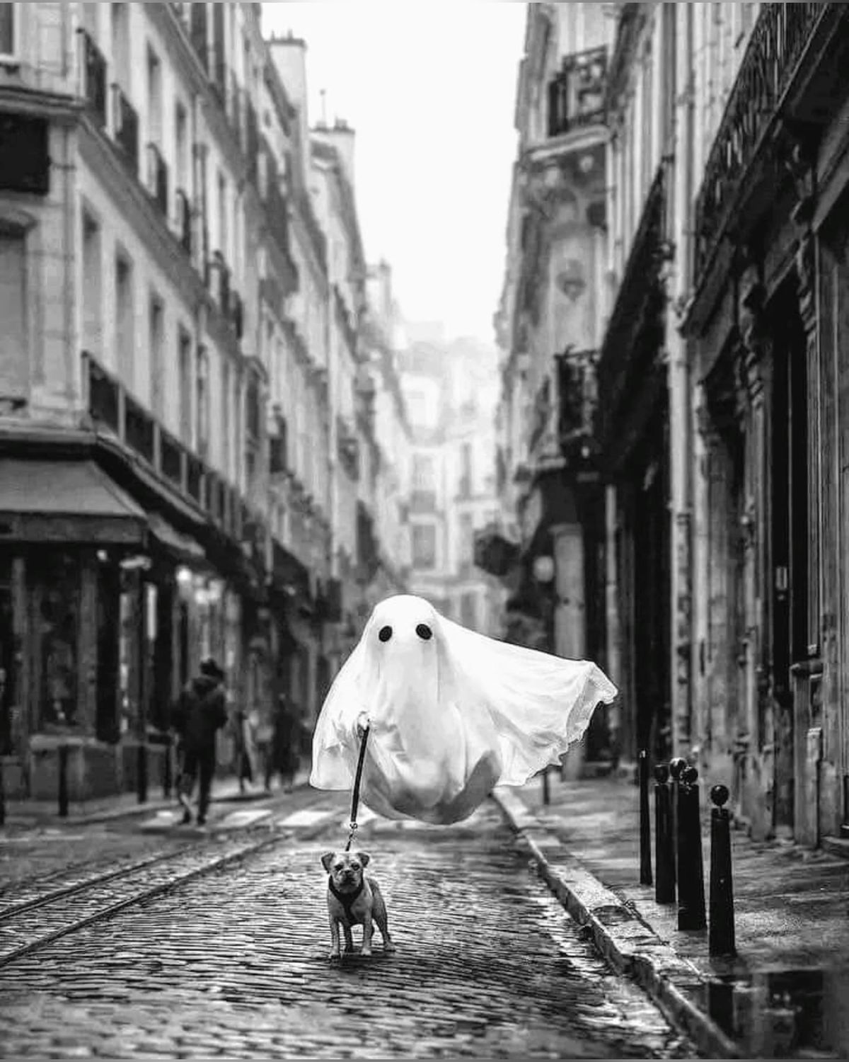 ghostwalking.jpg