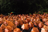 ginger_flock.jpg